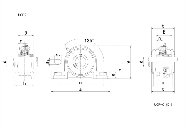 UCP218